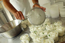 Italy-Campania-Mediterranean Cilento Ride and Cook